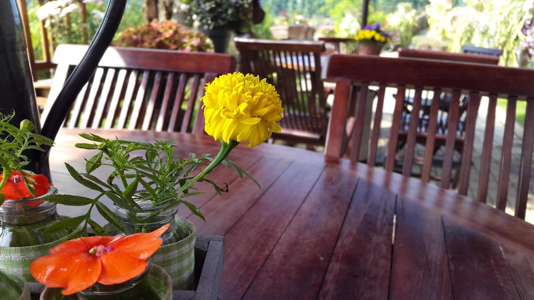 Yellow flowers on the table photo