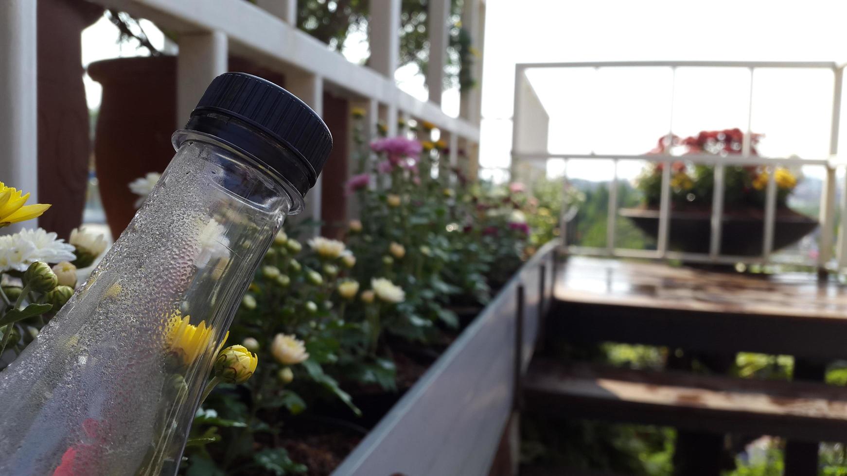 Empty bottle lying near the flower garden photo