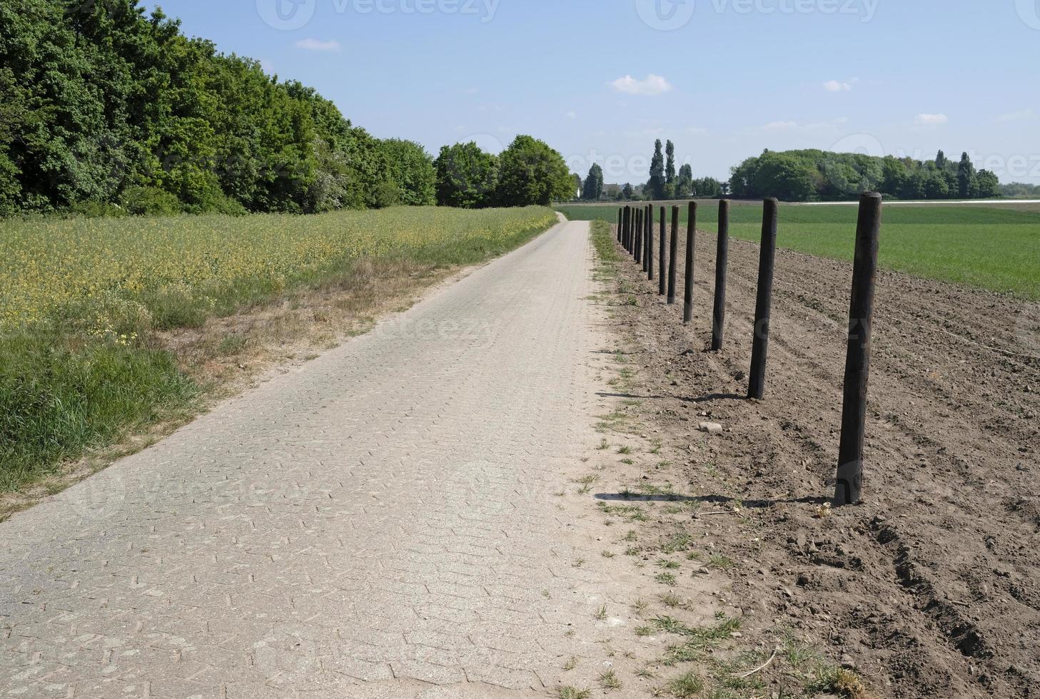 Empty road in a rural area in a rural region in Germany photo