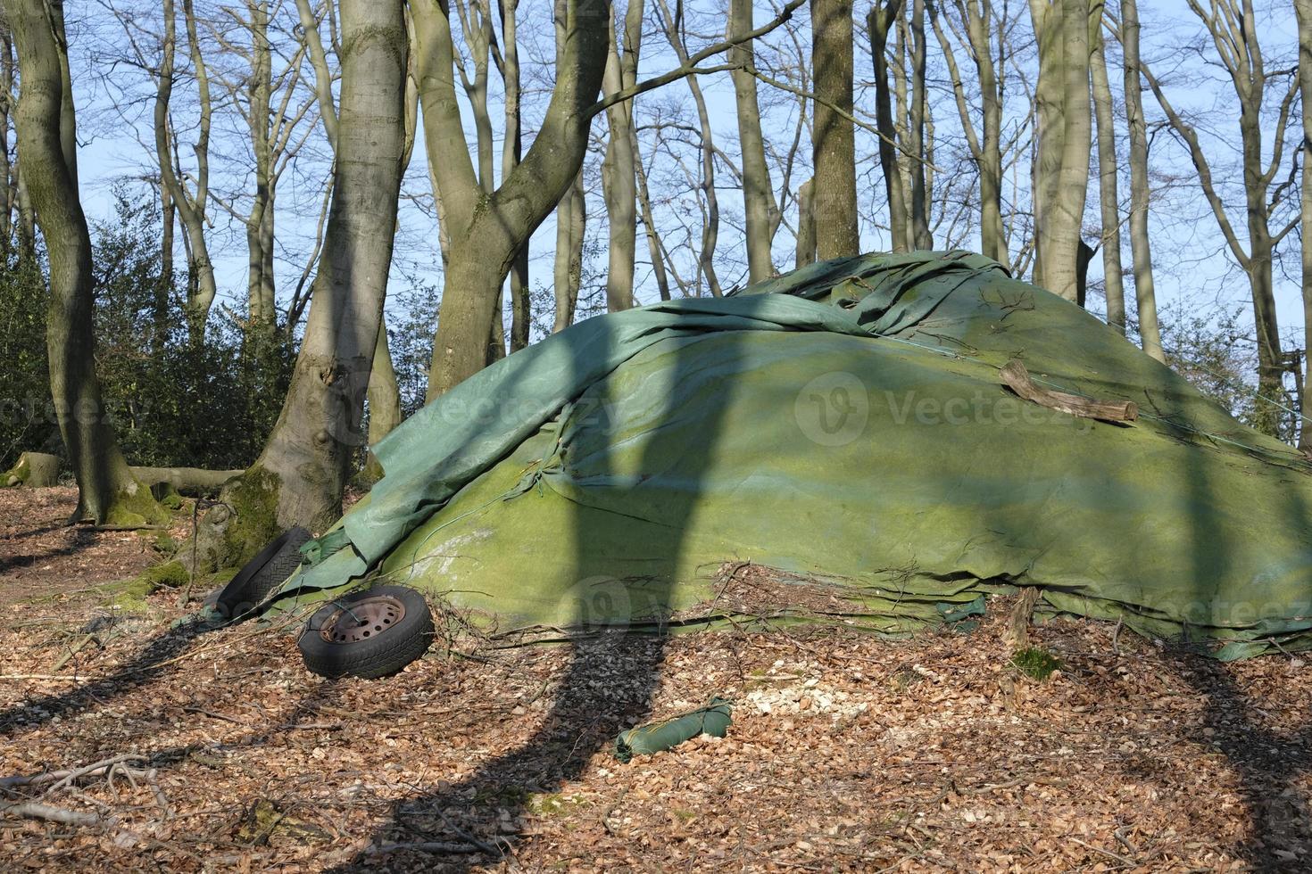 Green canvas thrown over a pile in a forest photo