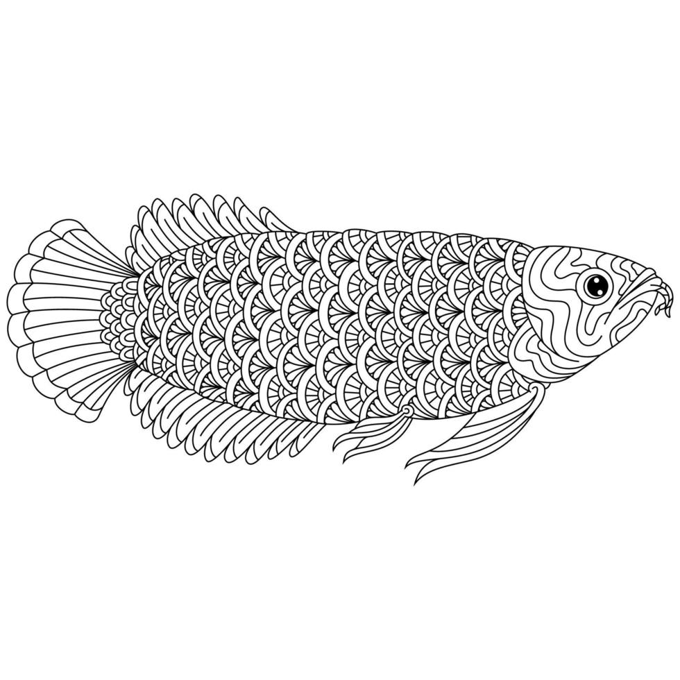 Arowana fish line art vector