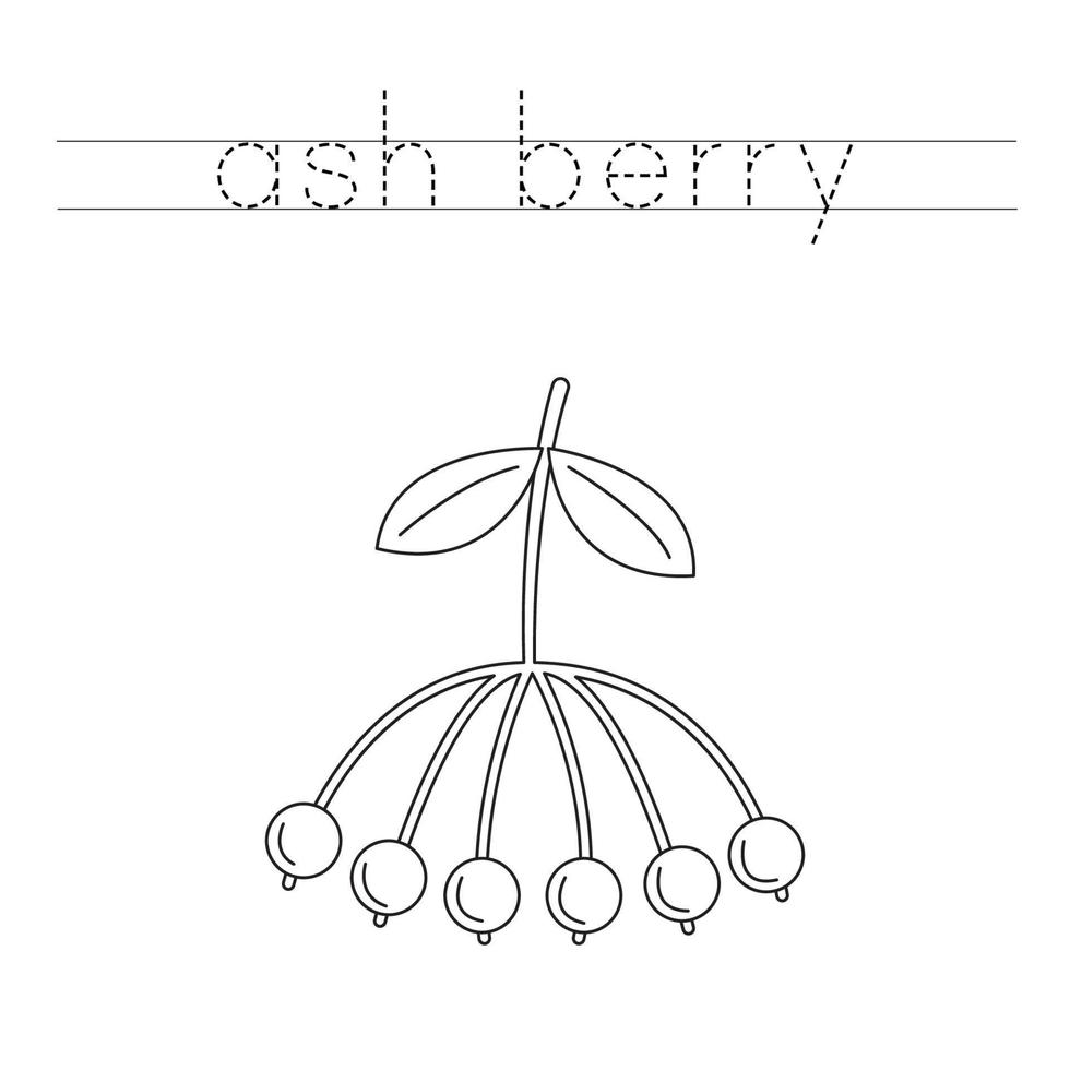Trace the letters and color ash berry. Handwriting practice for kids. vector