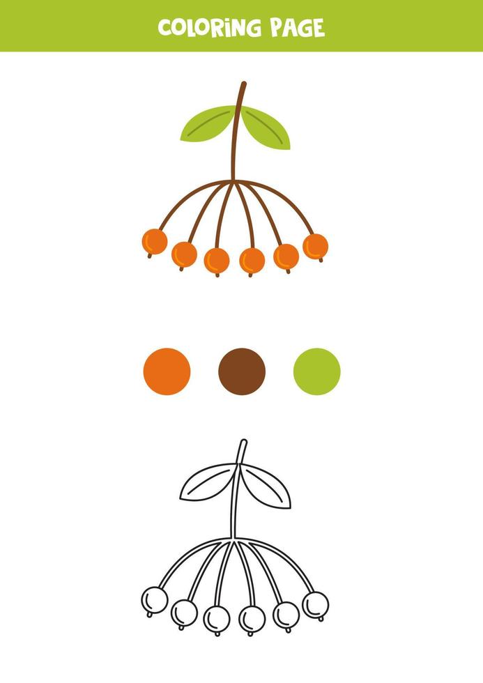 Color cute ash berry. Worksheet for kids. vector