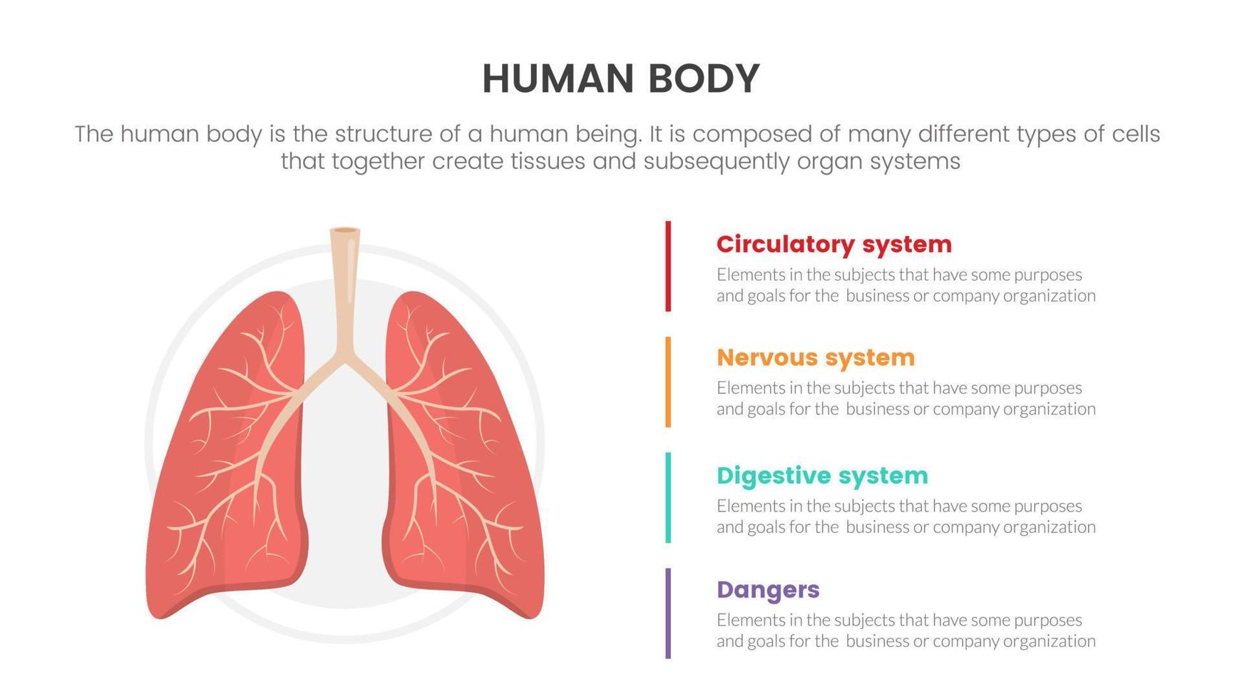 concepto de infografía de anatomía humana de pulmones para presentación de diapositivas con información de datos de lista de 4 puntos vector