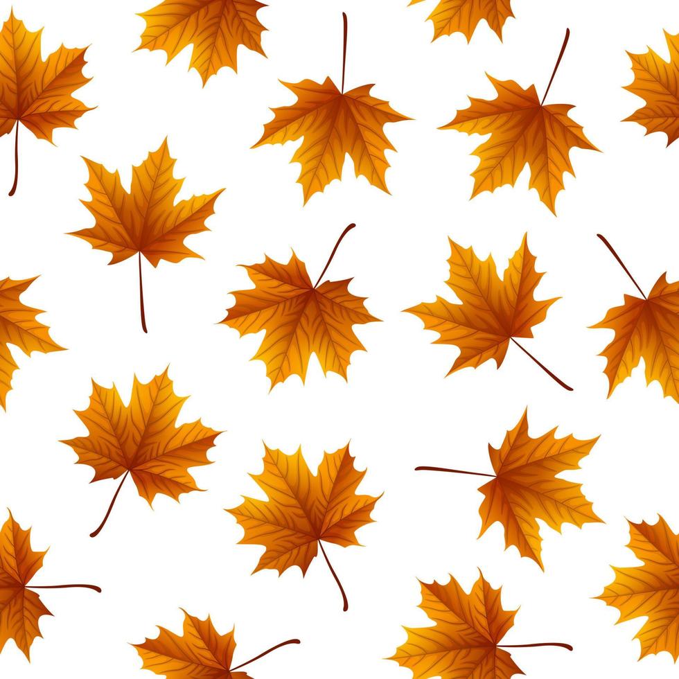 Autumn leaves background vector