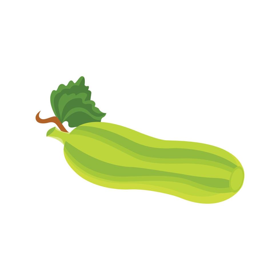 Ilustración de vector de fruta de pepino fresco aislado sobre fondo blanco con verduras y hierbas