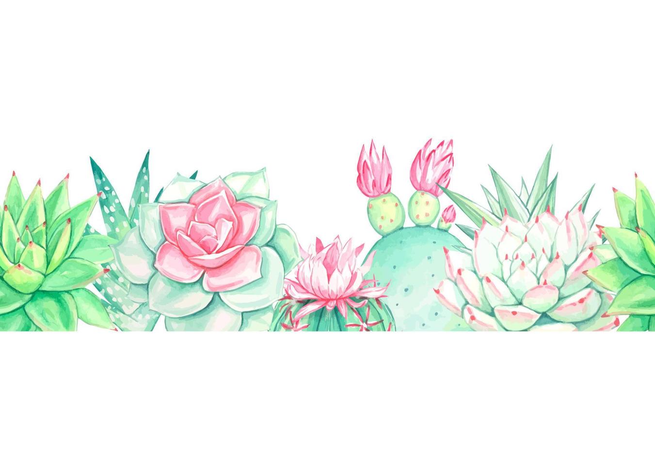Watercolor seamless border with various succulent. Isolated vector
