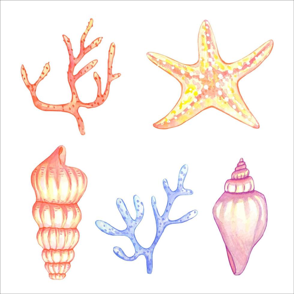 conjunto de acuarela de conchas marinas, estrellas de mar, aislado vector