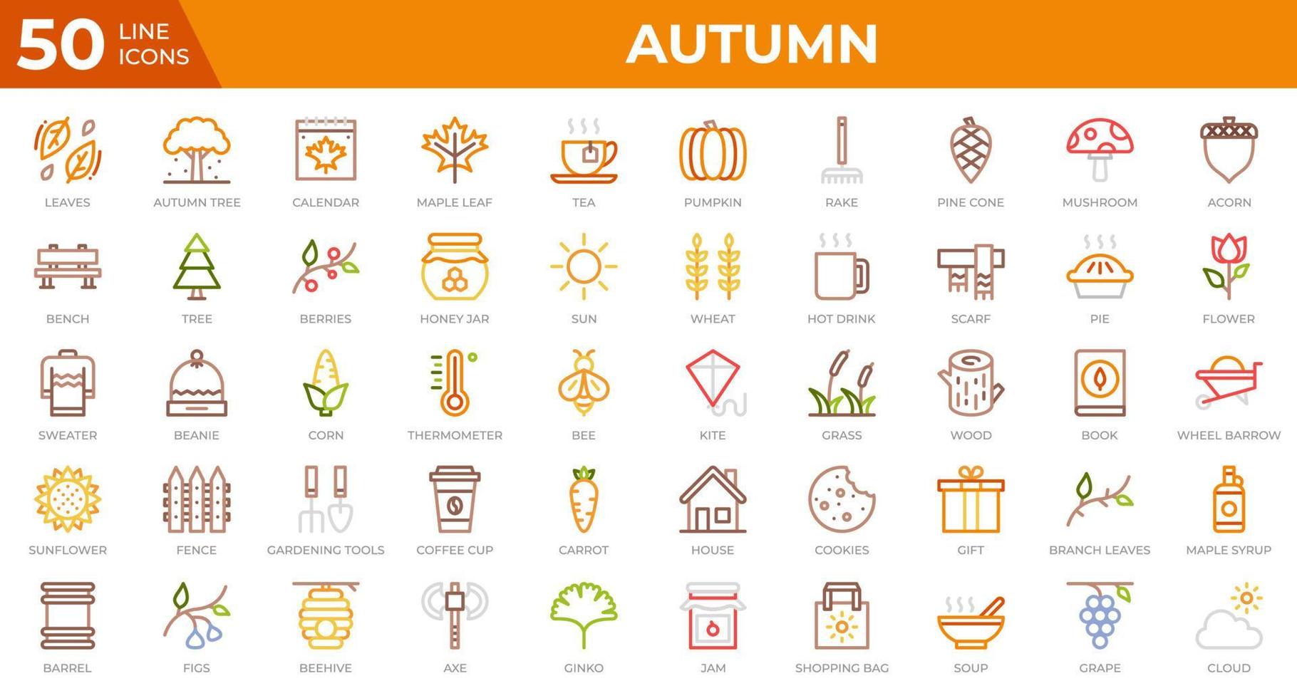 Set of 50 Autumn icons in colored line style. Leaves, berries, sweater. Colored outline icons collection. Vector illustration