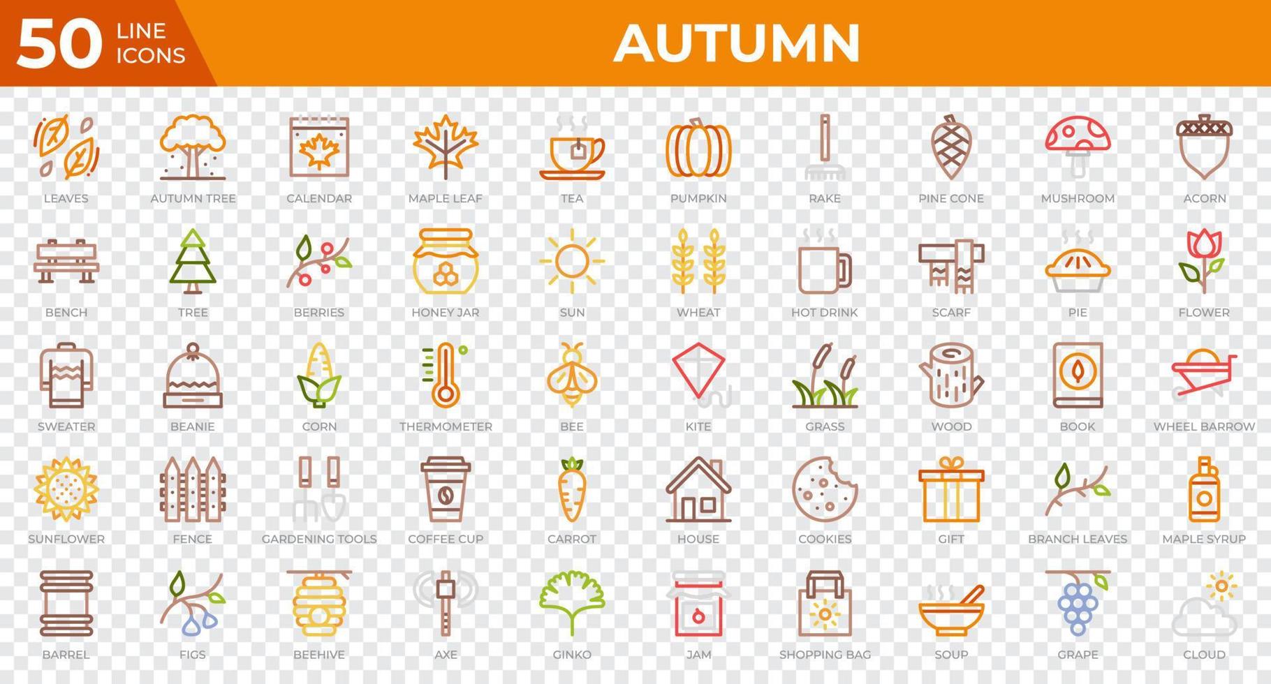 Set of 50 Autumn icons in colored line style. Leaves, berries, sweater. Colored outline icons collection. Vector illustration