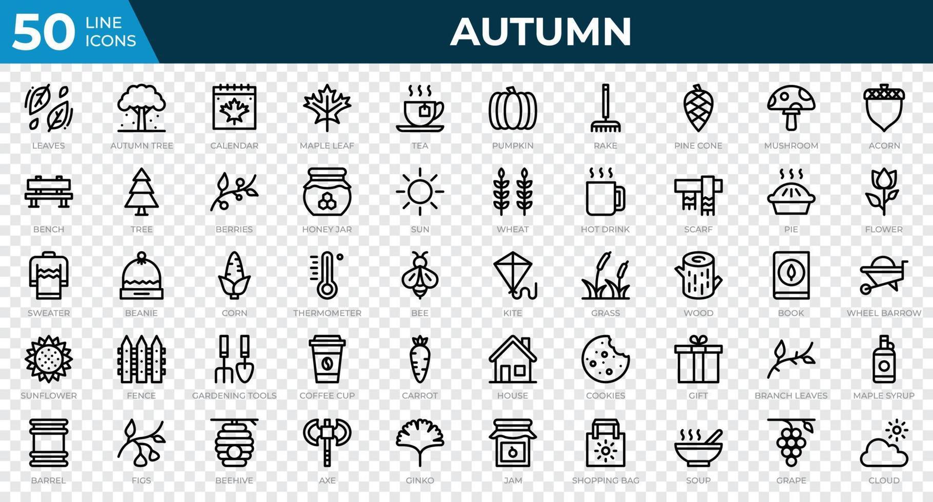 Set of 50 Autumn icons in line style. Leaves, berries, sweater. Outline icons collection. Vector illustration