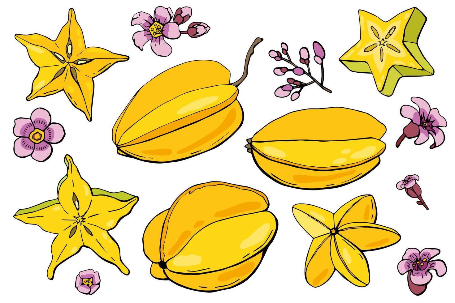 Carambola fruit set. Cartoon style. White background, isolate. Vector illustration.