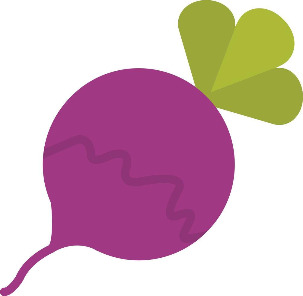 Turnip Flat Icon vector