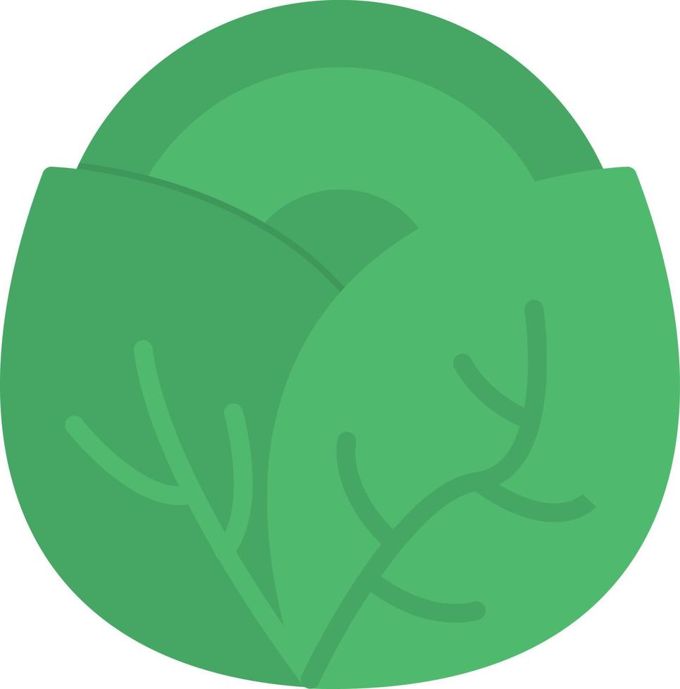 Cabbage Flat Icon vector