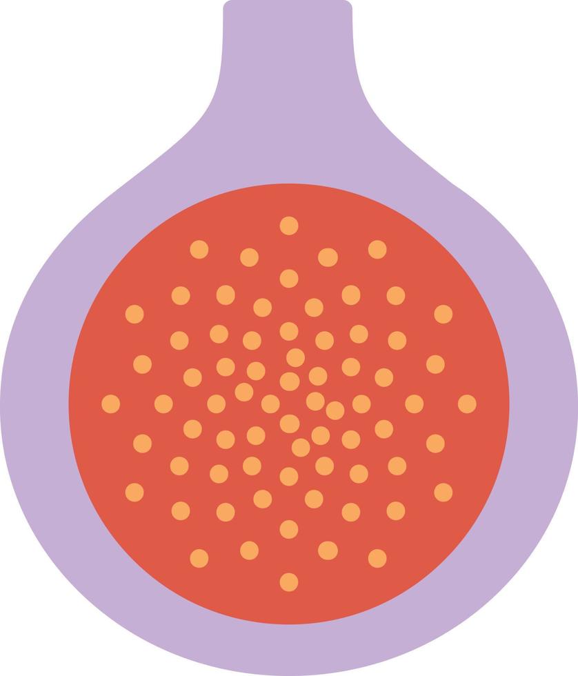 Fig Flat Icon vector