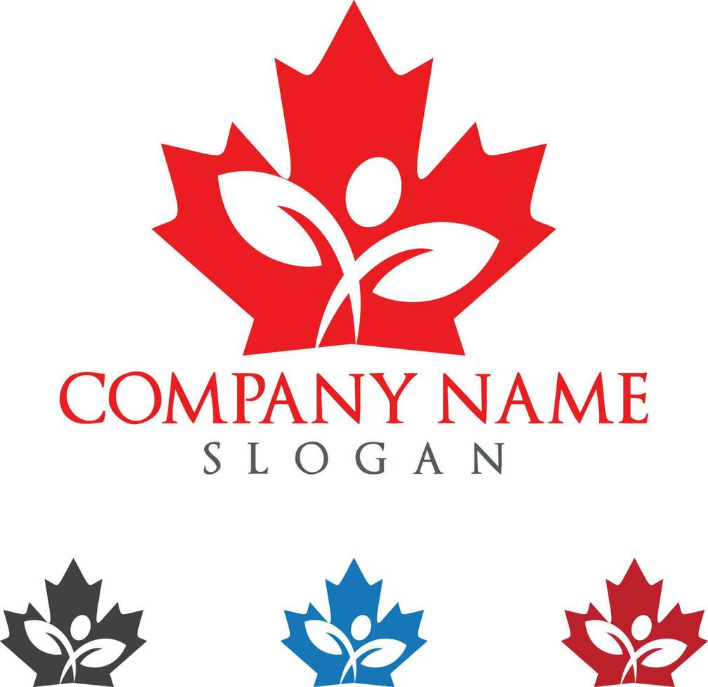 Canada maple leaf logo design. vector