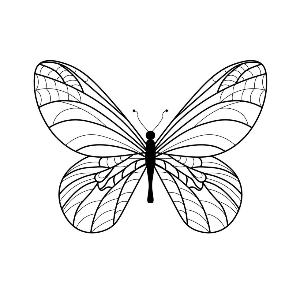 Butterfly coloring book. Linear drawing of a butterfly vector