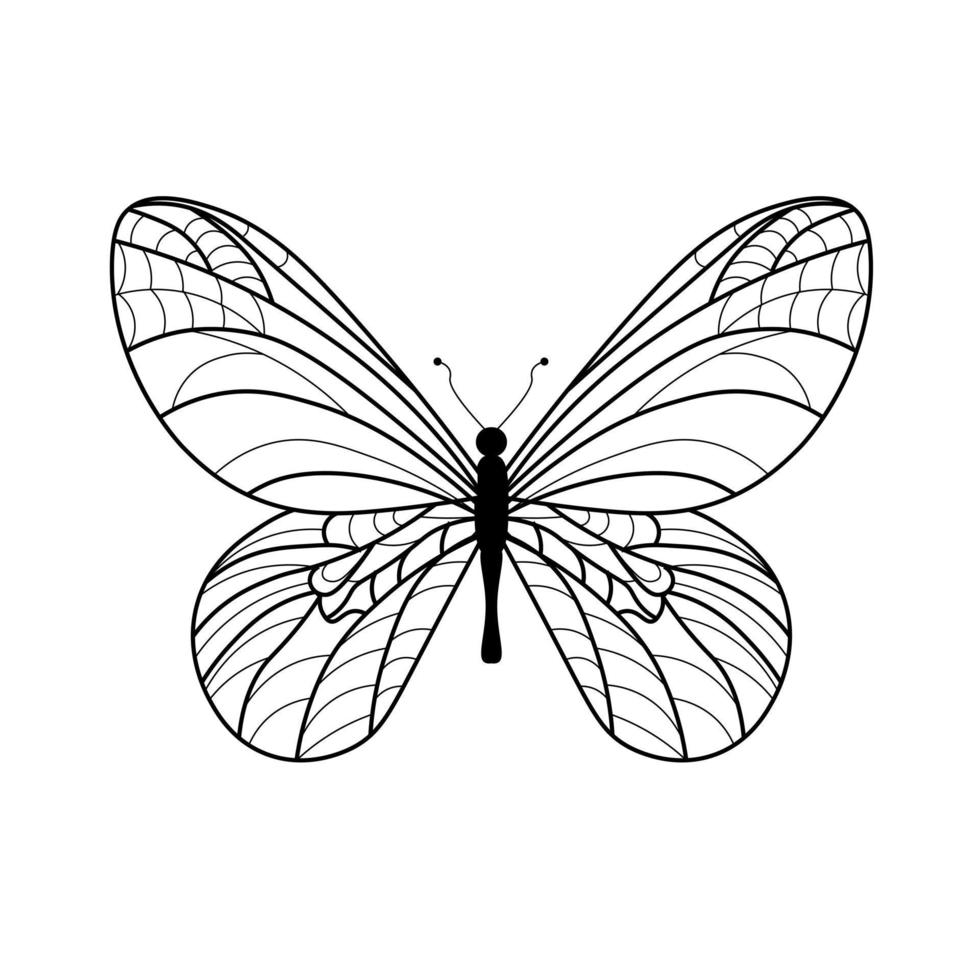 Butterfly coloring book. Linear drawing of a butterfly vector