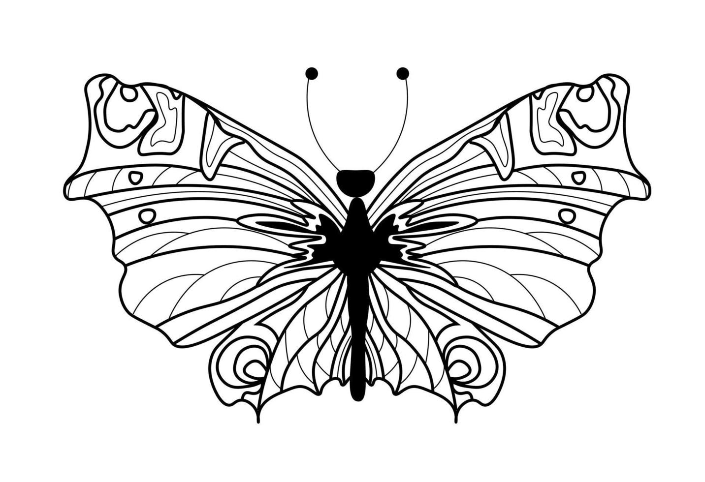 Butterfly coloring book. Linear drawing of a butterfly vector