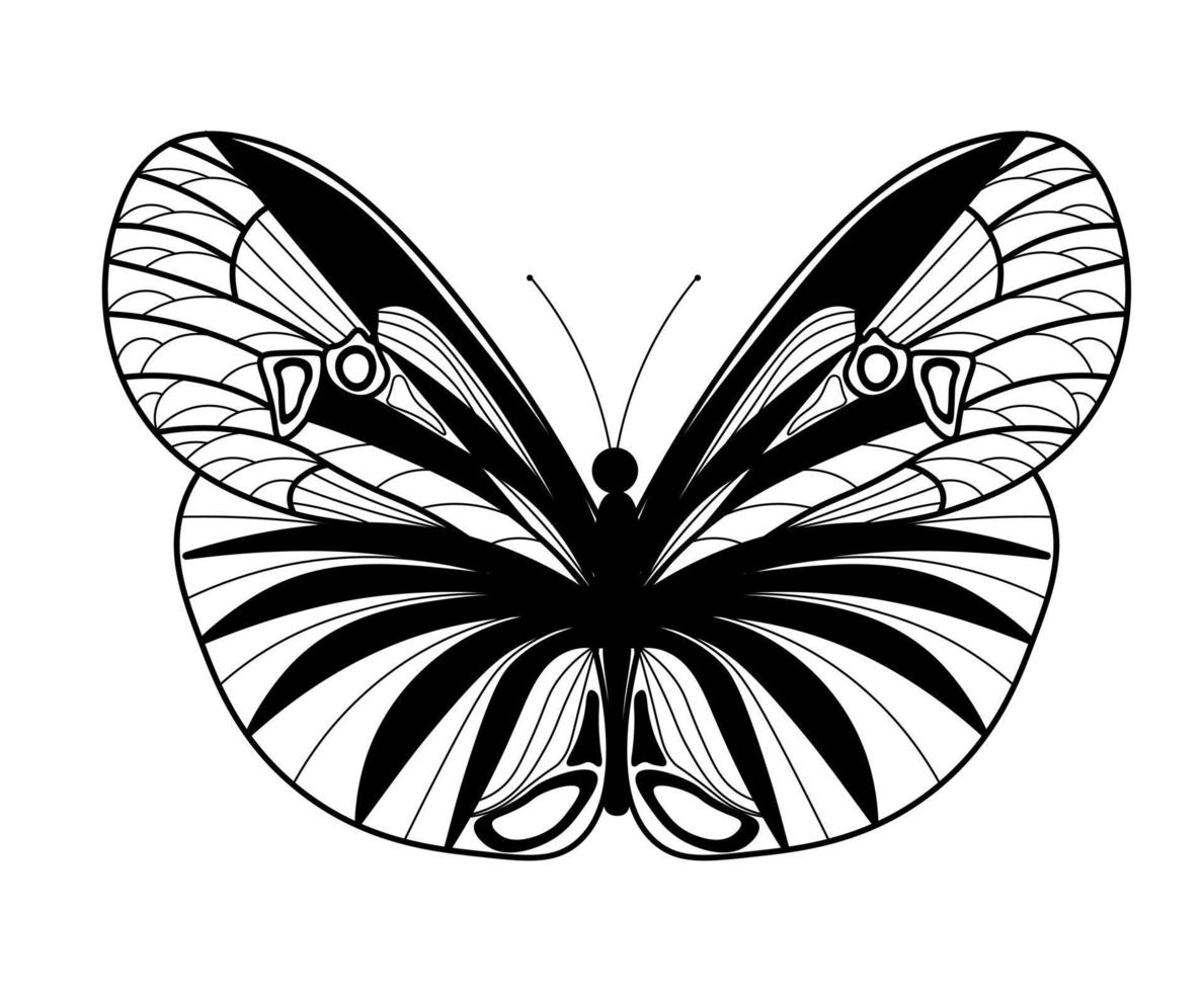 Butterfly coloring book. Linear drawing of a butterfly vector