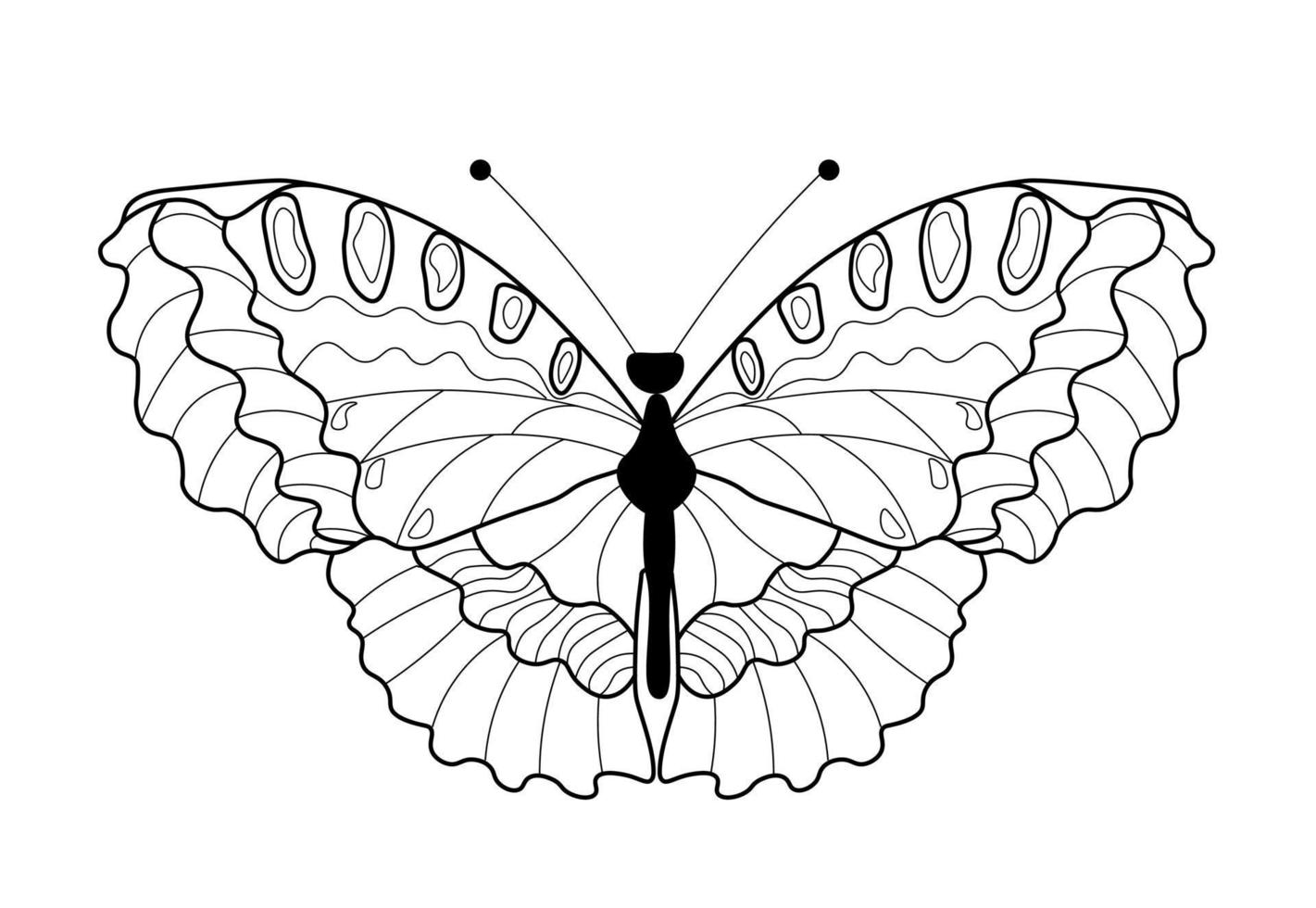 Butterfly coloring book. Linear drawing of a butterfly vector