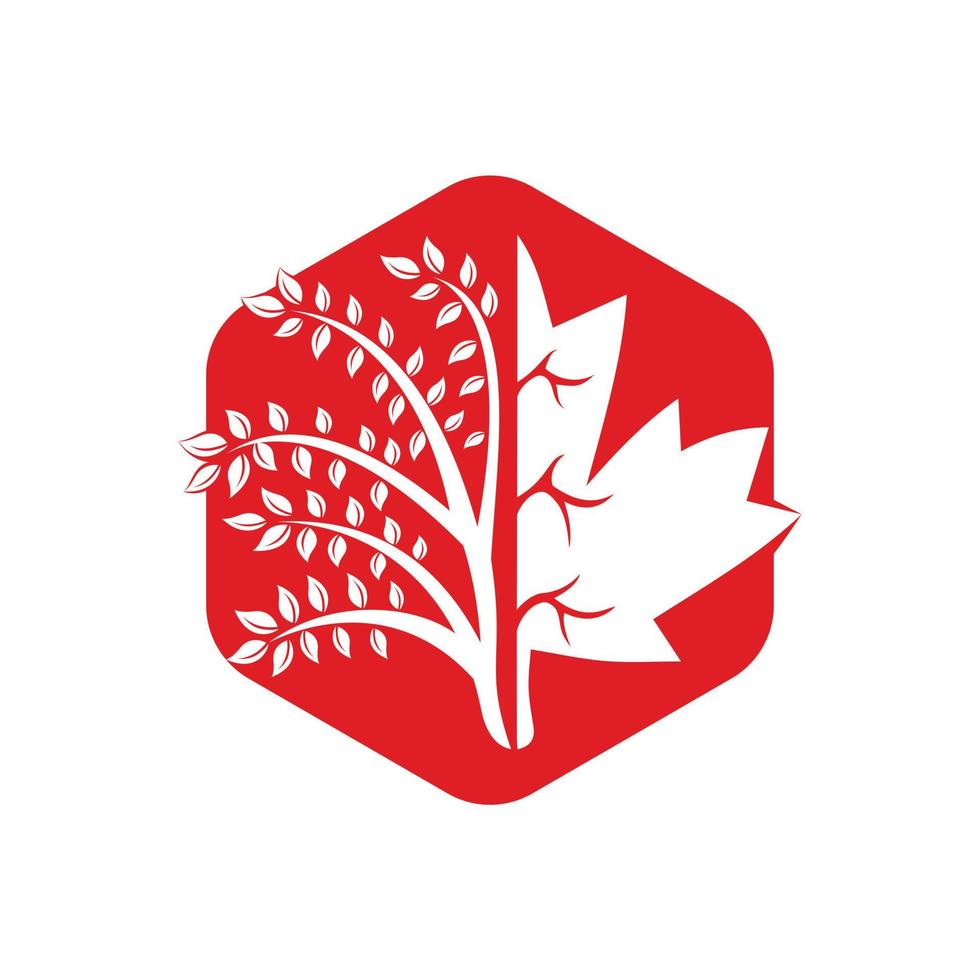 Blowing tree and maple leafs logo design. Canada business sign. vector