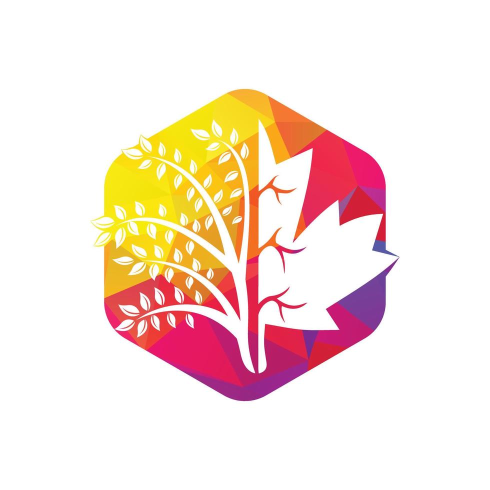 Blowing tree and maple leafs logo design. Canada business sign. vector