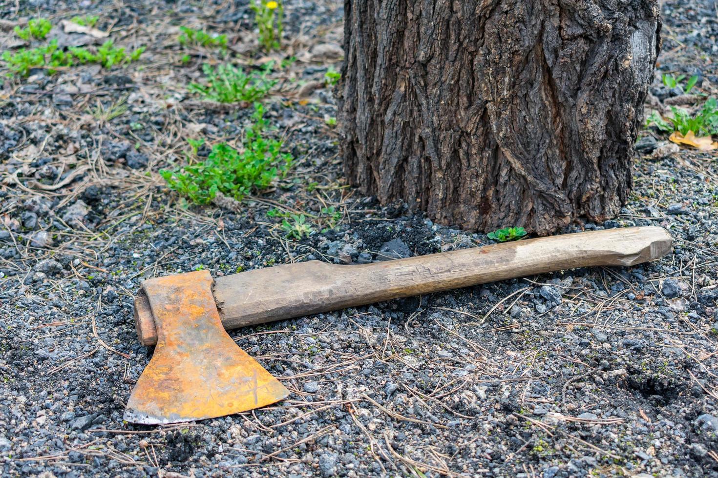 An old and rusty ax is lying on the ground next to a stump photo