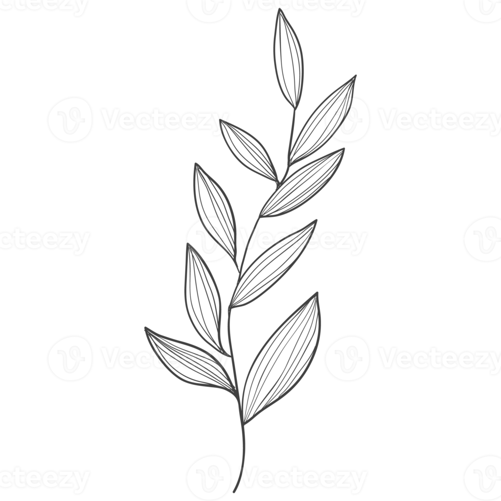 Minimal decoration floral ATL png