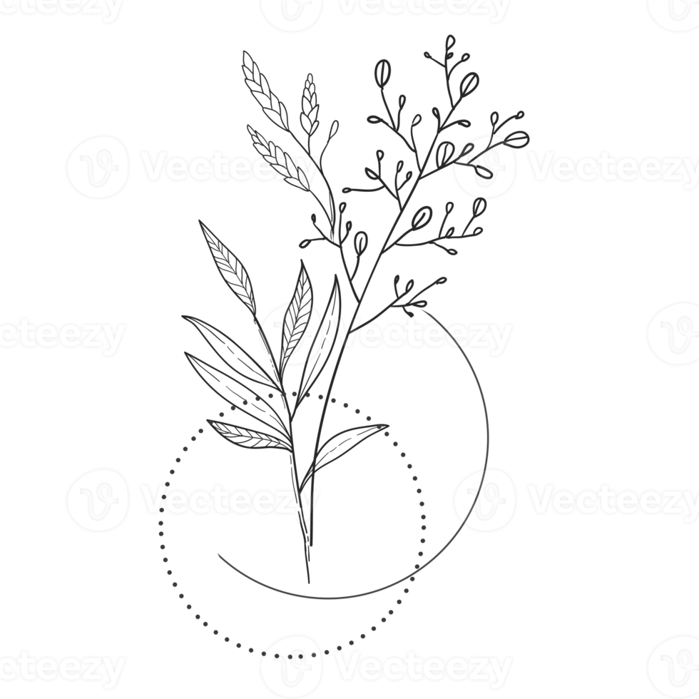 Minimal decoration floral ATL png