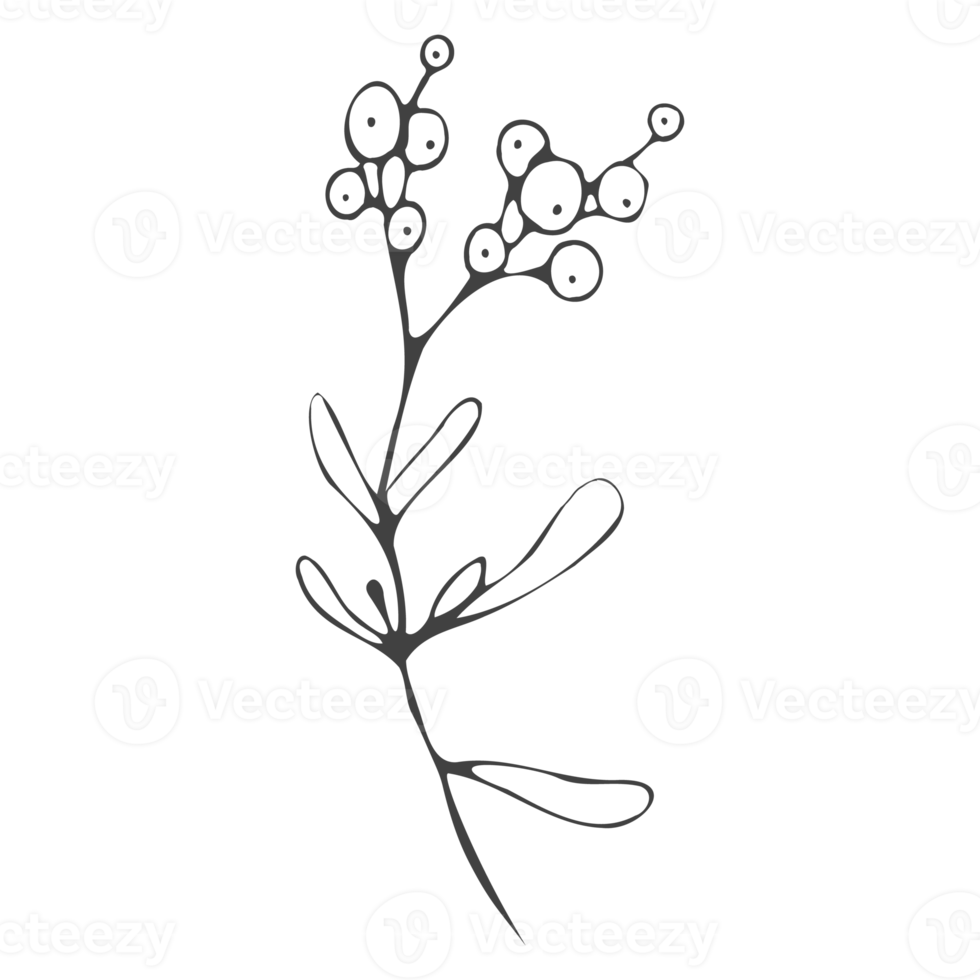 Minimal decoration floral ATL png