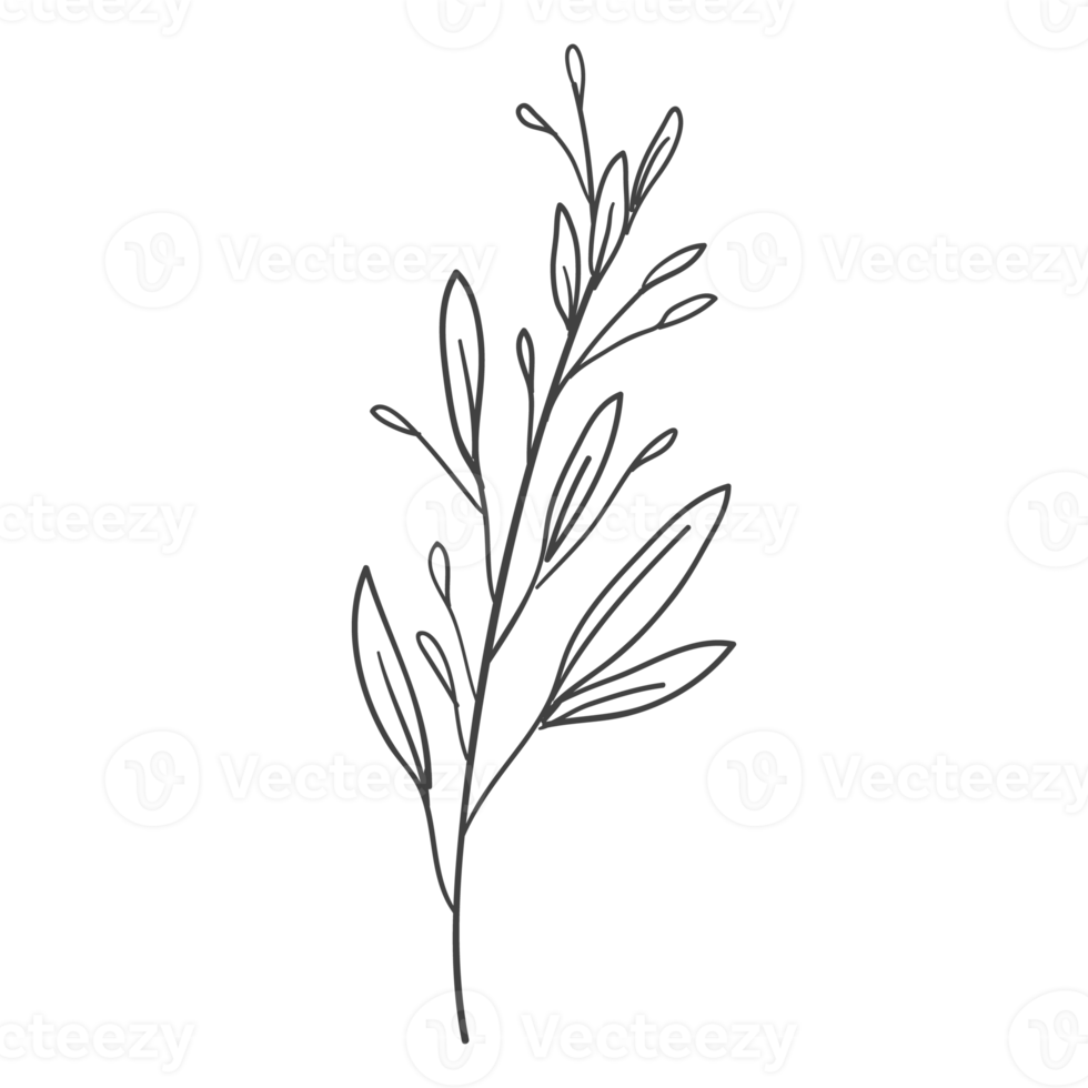 Minimal decoration floral ATL png