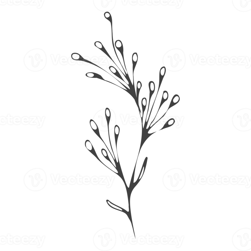 Minimal decoration floral ATL png
