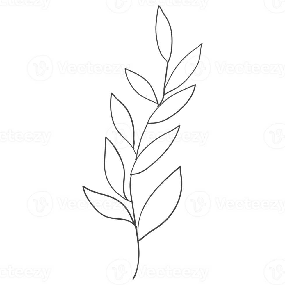 Minimal decoration floral ATL png