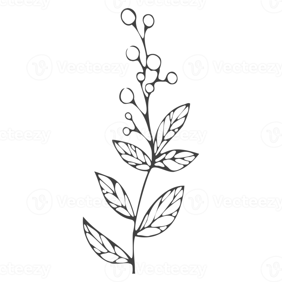 Minimal decoration floral ATL 11720827 PNG