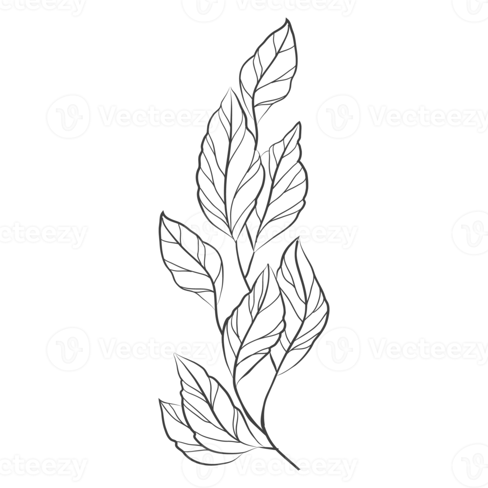 Minimal decoration floral ATL png