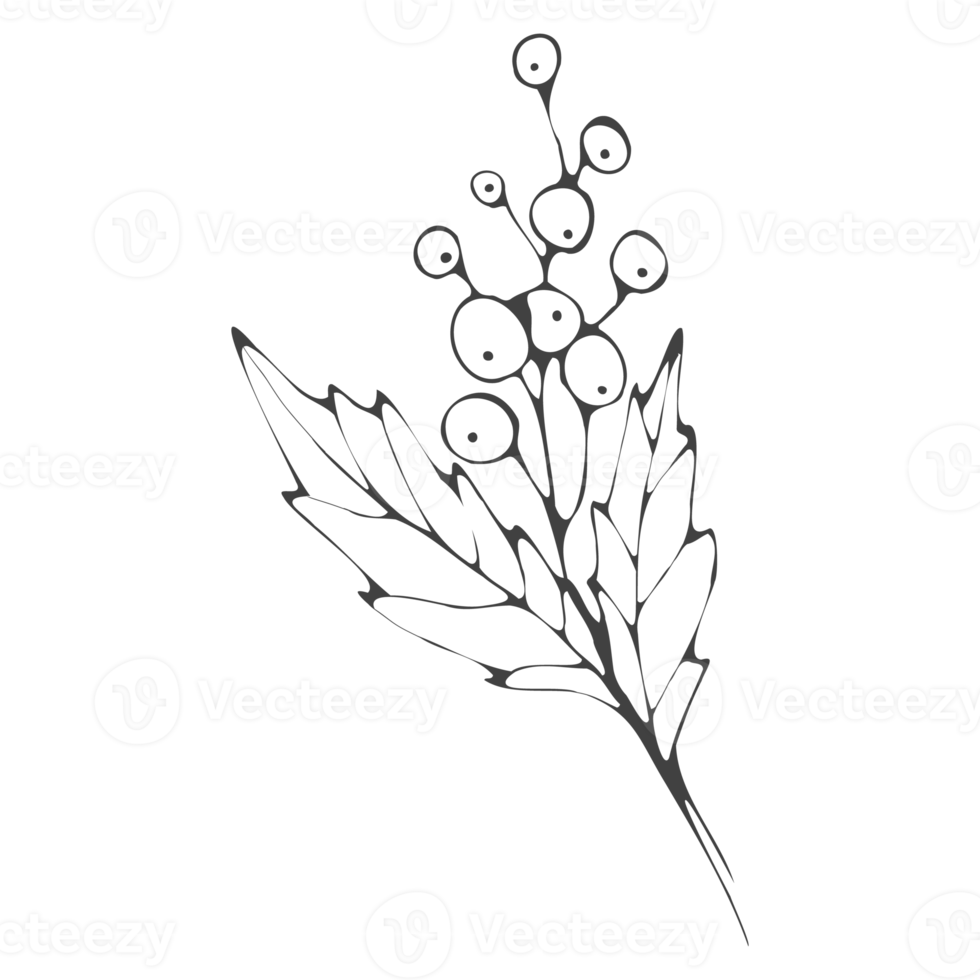 Minimal decoration floral ATL png