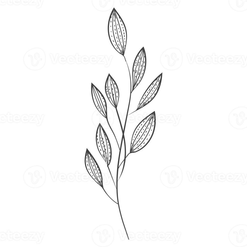 Minimal decoration floral ATL png