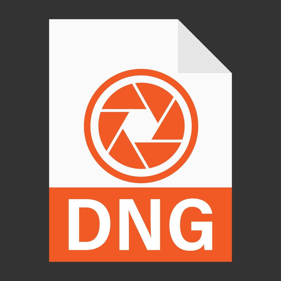 Modern flat design of DNG file icon for web vector