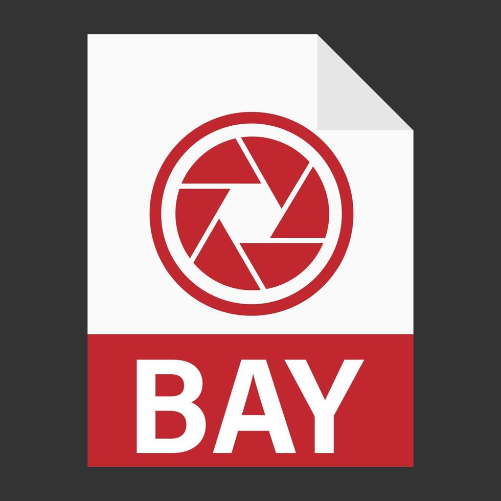 Modern flat design of BAY file icon for web vector