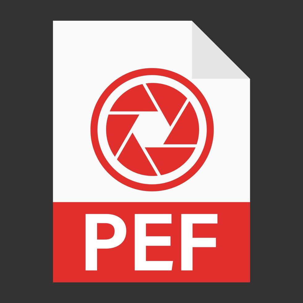 Modern flat design of PEF file icon for web vector