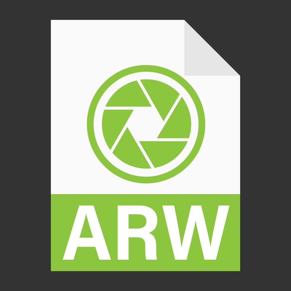 diseño plano moderno de icono de archivo arw para web vector