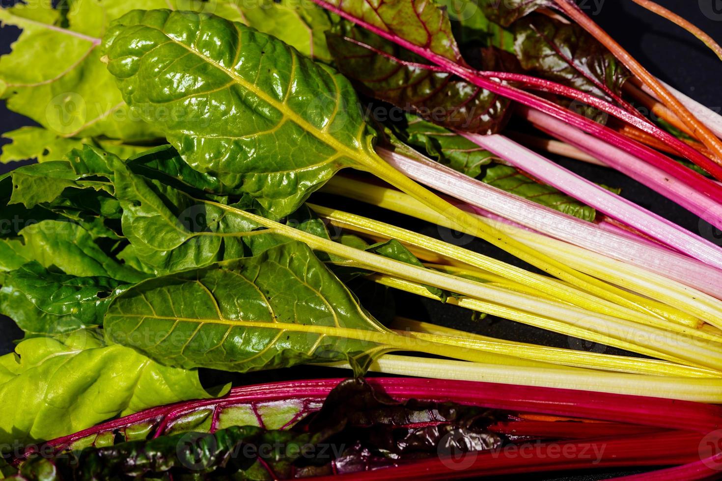 chard beta vulgaris in the old land next to Hamburg photo