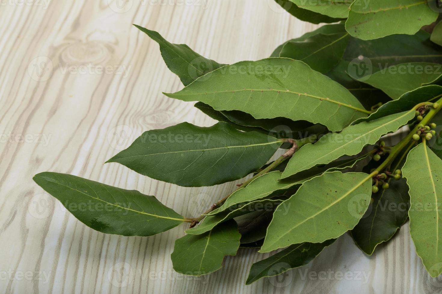 Laurel leaves on wooden background photo