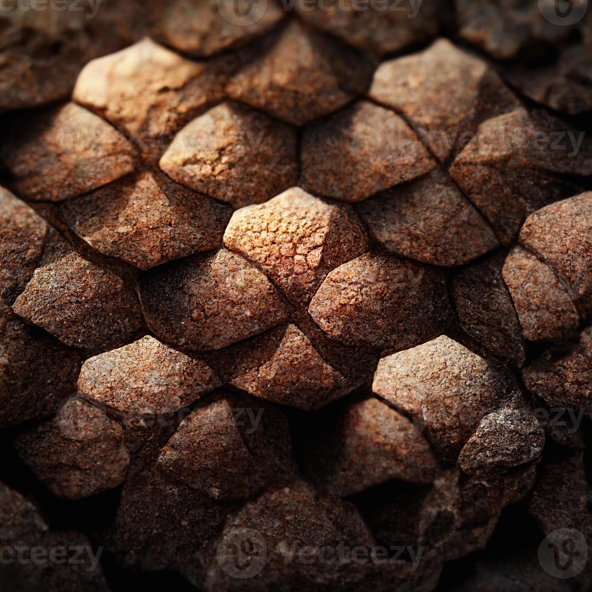 reptile skin background. 11723797 Stock Photo at Vecteezy