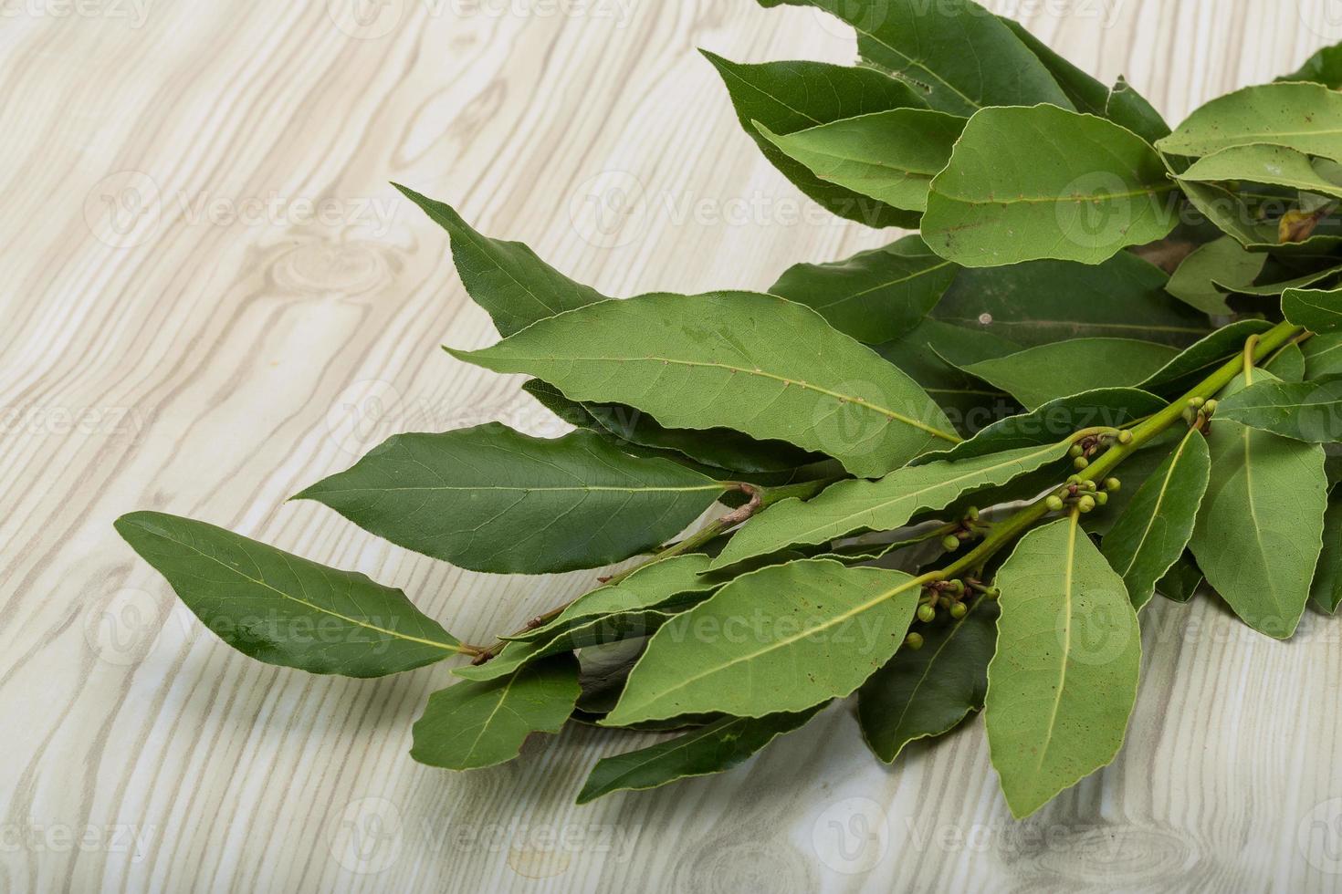 Laurel leaves on wooden background photo