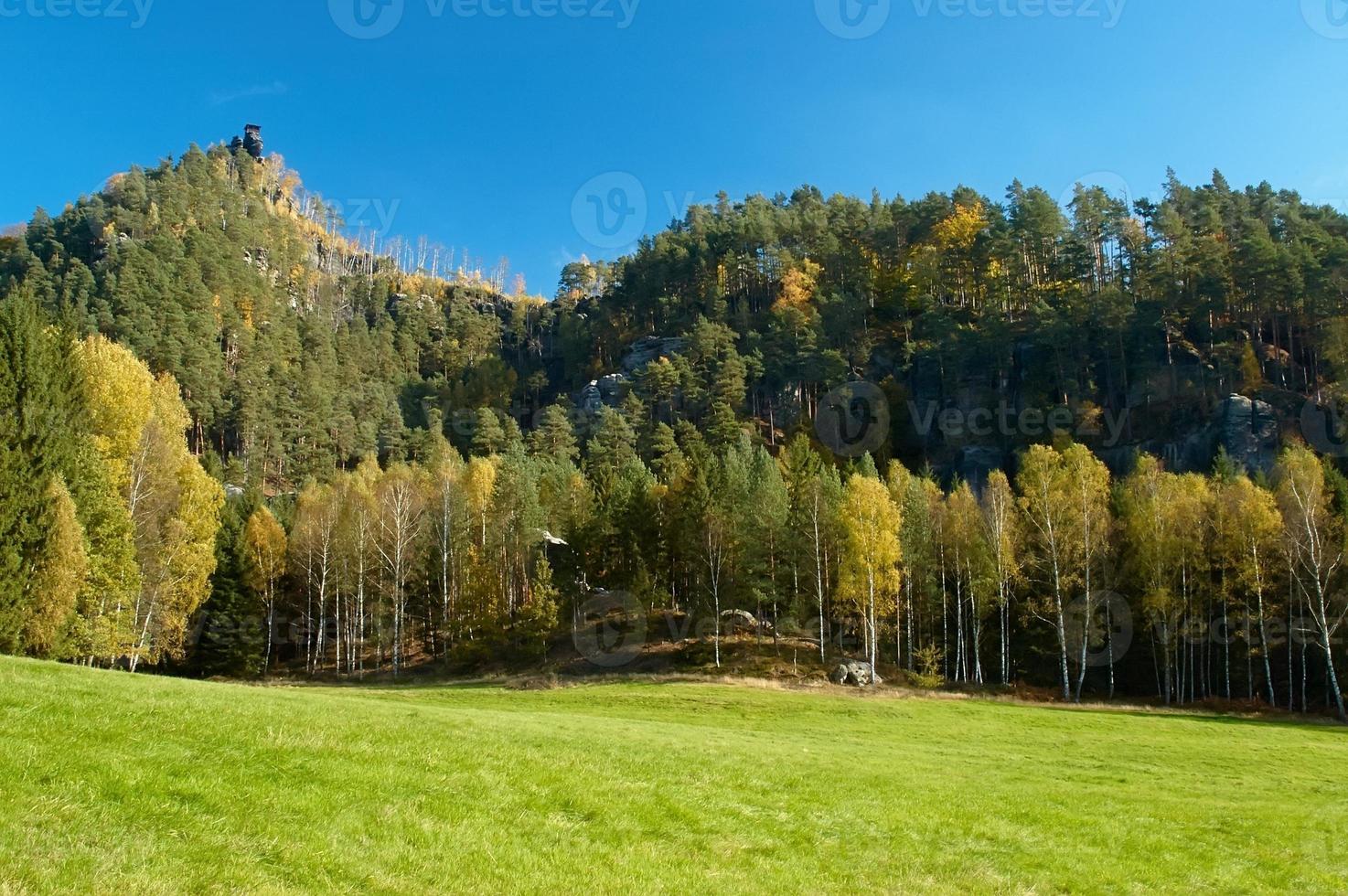sandstone rocks and forest photo