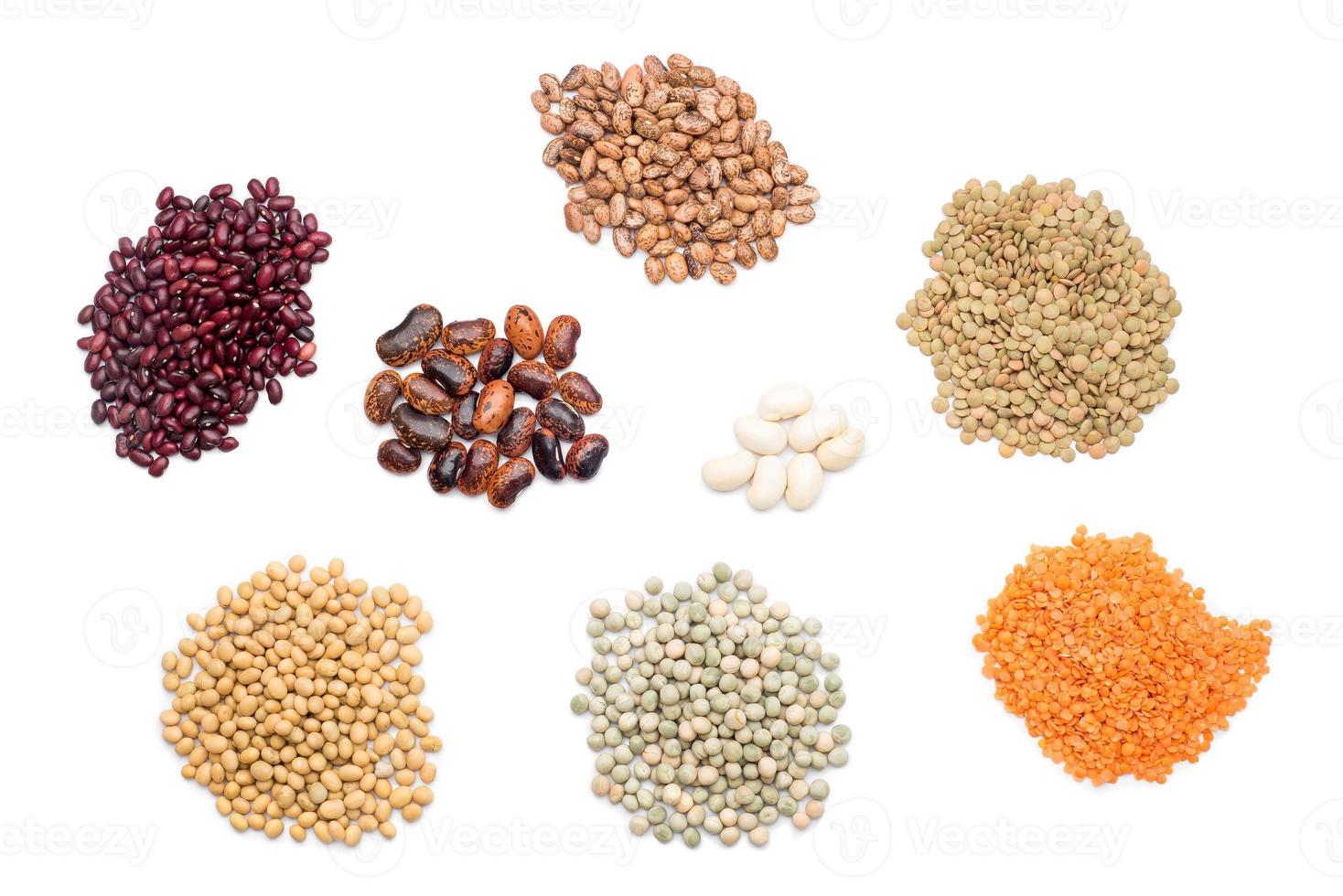 The kinds of Legumes photo