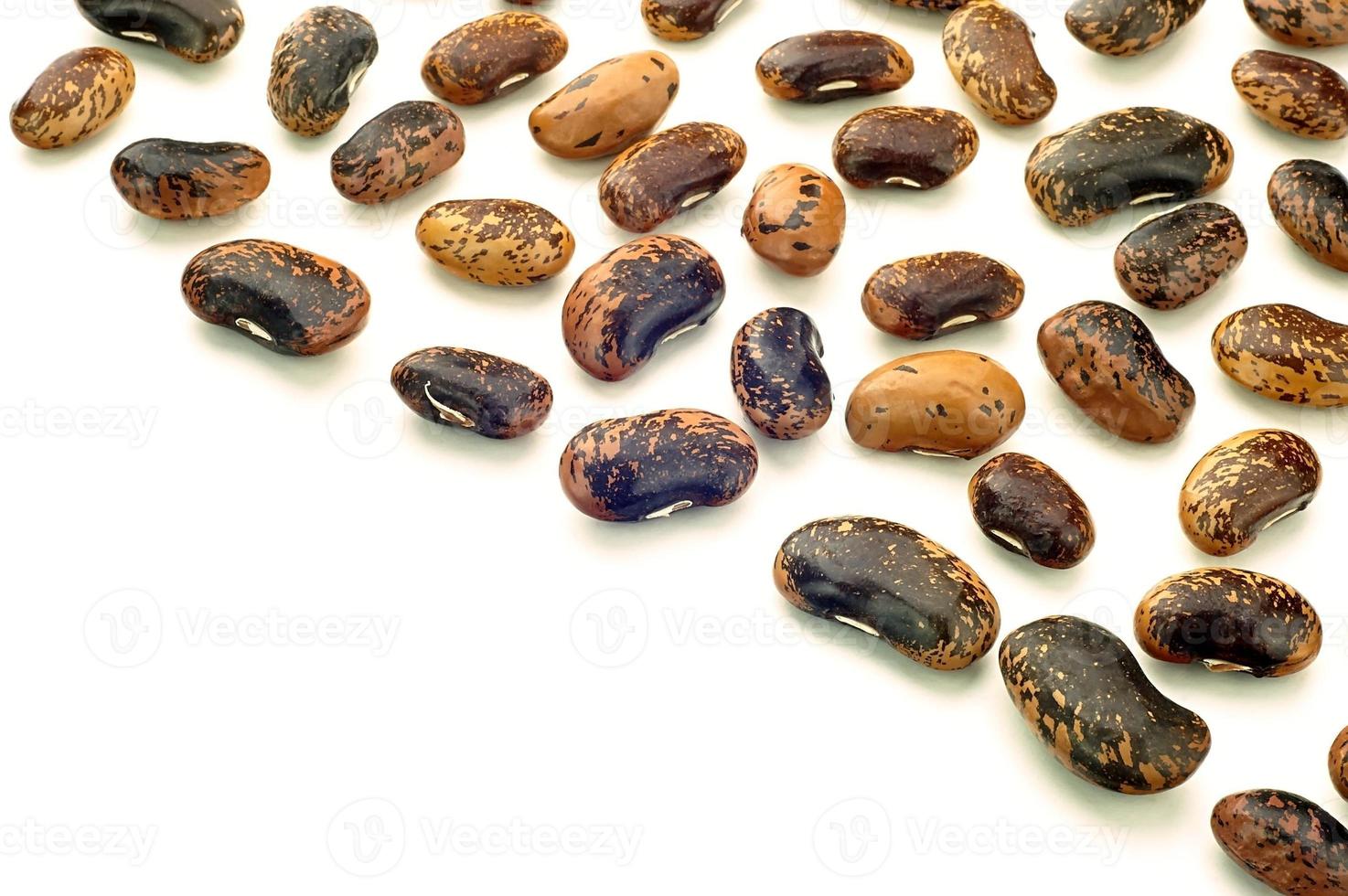Various of Haricot bean photo