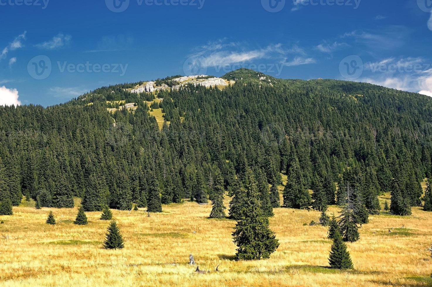 View of the Slovak mountains photo